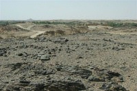 neolithischer Siedlungsplatz