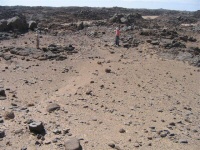 Overview of the Kerma habitation site US304