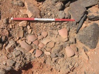 Potsherds from US307